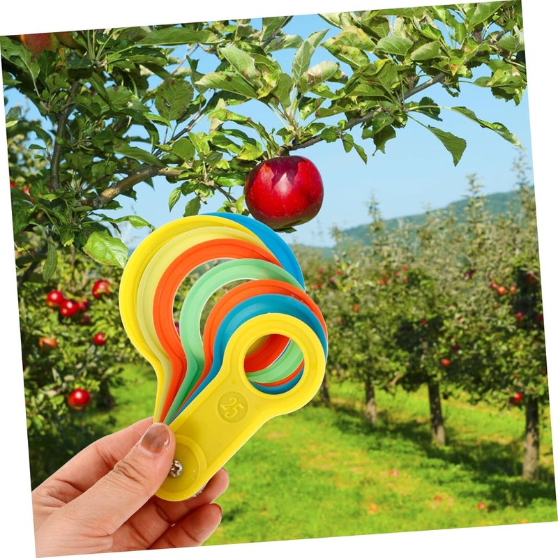 PartyKindom 2 Sets Fruit Diameter Measuring Rings Tool - Plastic Fruit Sizer for Oranges - Peaches Apples Measures 25 60mm & 60 110mm Accurate and Easy to Use Fruit Measurement Tools - Image 5